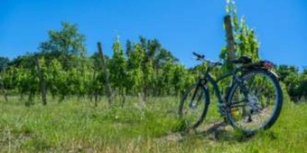 Itinéraire Cluny velo